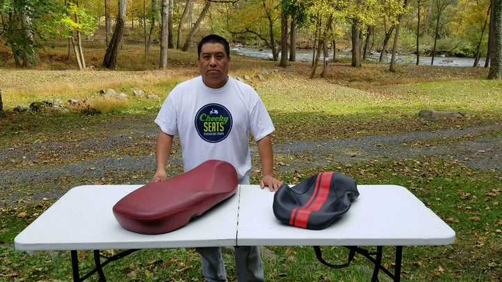 Vespa Primavera Sprint Dual Racing Stripe Scooter Seat Cover